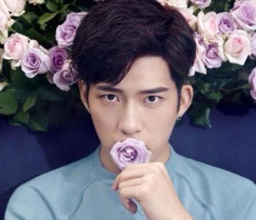 娱乐圈的全部男明星,璀璨星河中的闪耀星辰